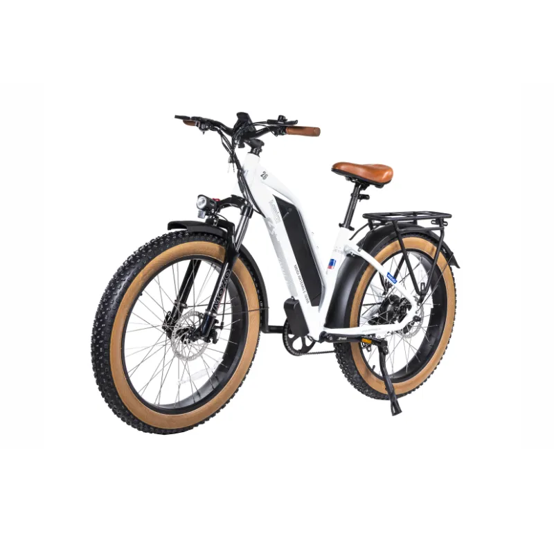 DWMeigi Artemis Fat Tire Electric Bike, 48V/16Ah, 750W