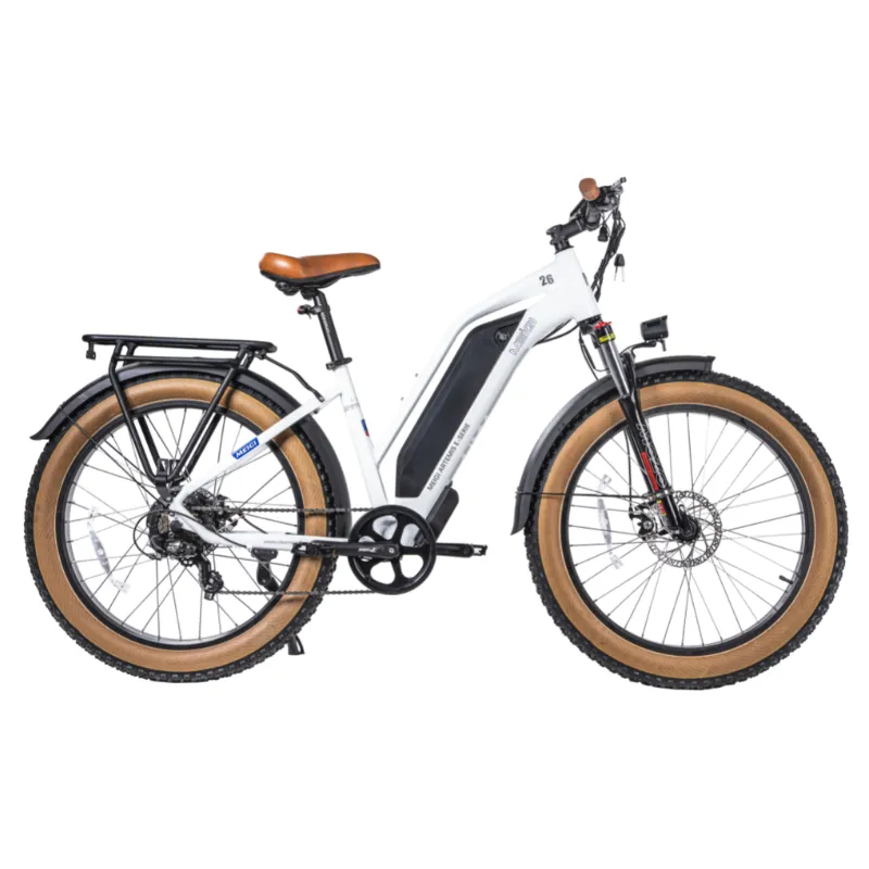 DWMeigi Artemis Fat Tire Electric Bike, 48V/16Ah, 750W