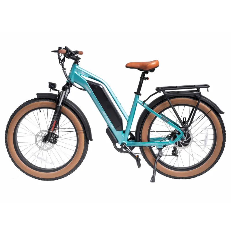 DWMeigi Artemis Fat Tire Electric Bike, 48V/16Ah, 750W