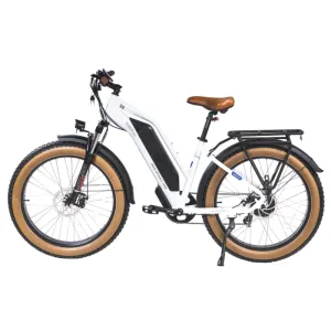 DWMeigi Artemis Fat Tire Electric Bike, 48V/16Ah, 750W