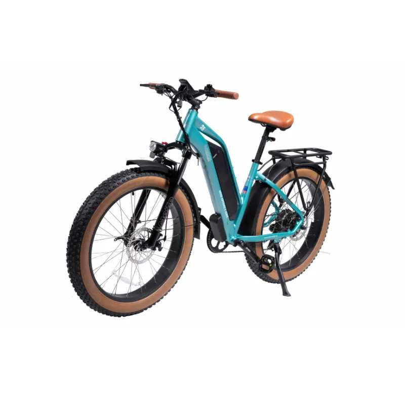 DWMeigi Artemis Fat Tire Electric Bike, 48V/16Ah, 750W