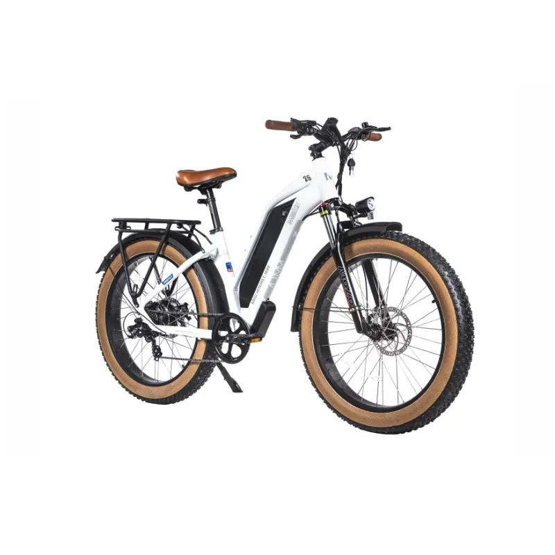 DWMeigi Artemis Fat Tire Electric Bike, 48V/16Ah, 750W