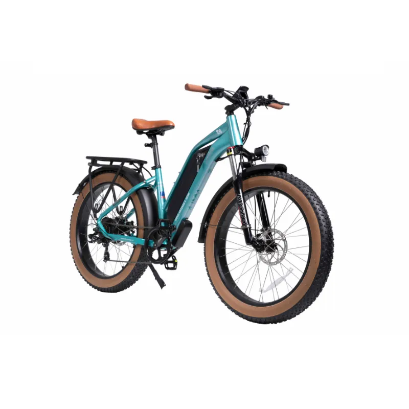 DWMeigi Artemis Fat Tire Electric Bike, 48V/16Ah, 750W