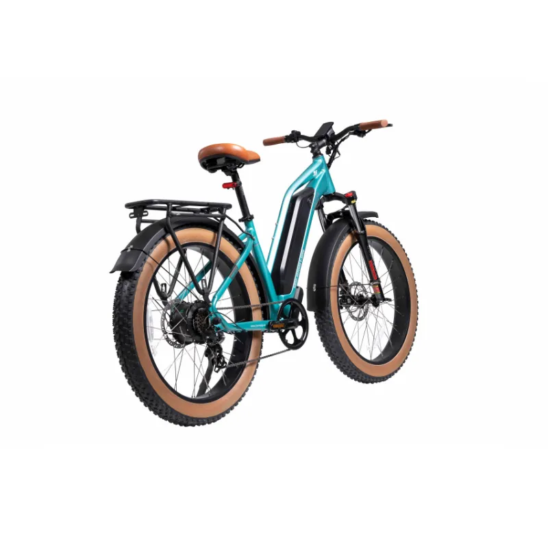 DWMeigi Artemis Fat Tire Electric Bike, 48V/16Ah, 750W