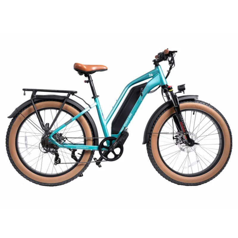 DWMeigi Artemis Fat Tire Electric Bike, 48V/16Ah, 750W