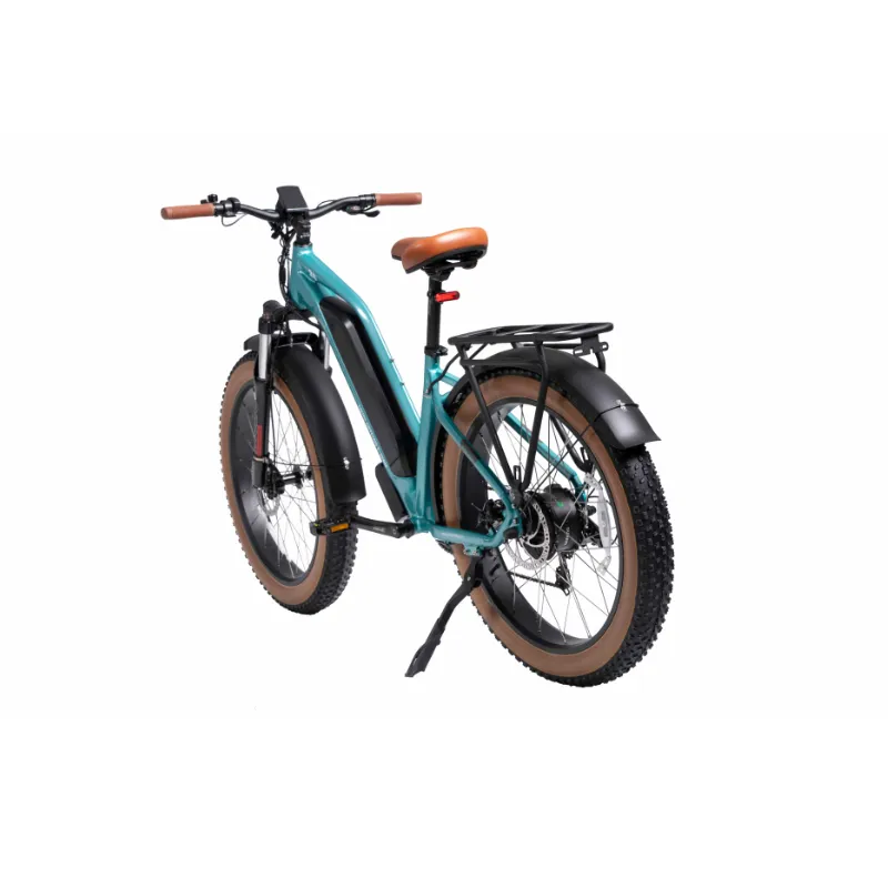 DWMeigi Artemis Fat Tire Electric Bike, 48V/16Ah, 750W