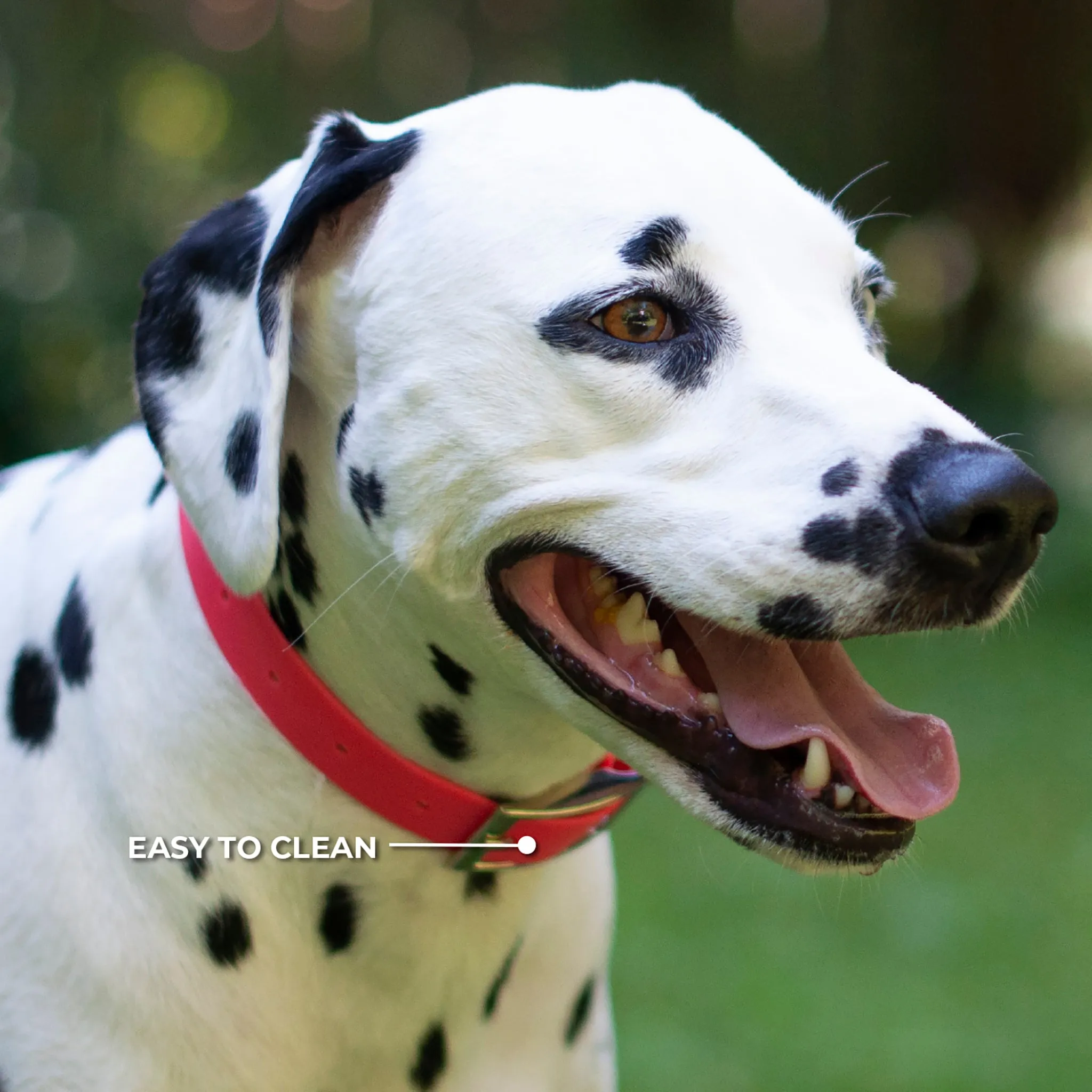 Tofino II Waterproof Collar